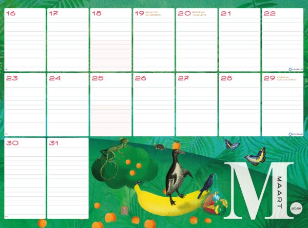 Inkijkexemplaar Super Family Planner 2026 Pagina 3